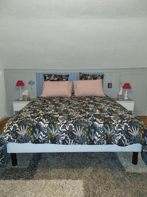 Appartement Centre-Ville Колмар Екстериор снимка
